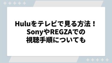 Huluをテレビで見る方法を徹底解説！SonyやREGZAでの視聴手順についても