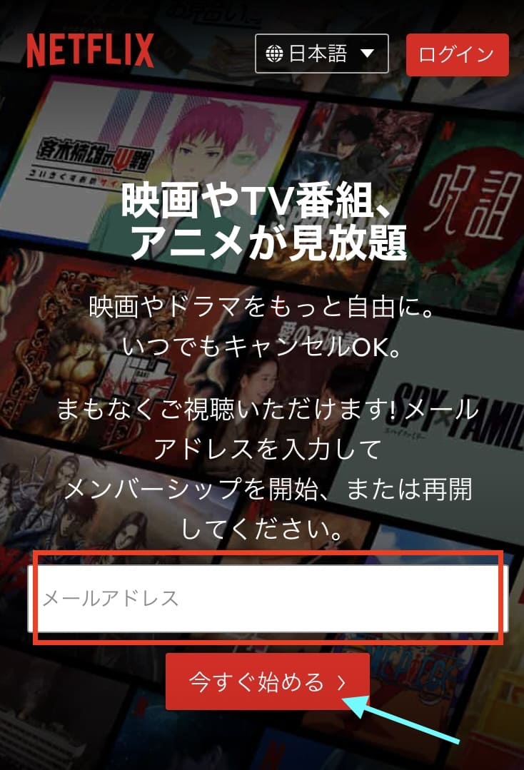 Netflix ギフトカード　使い方