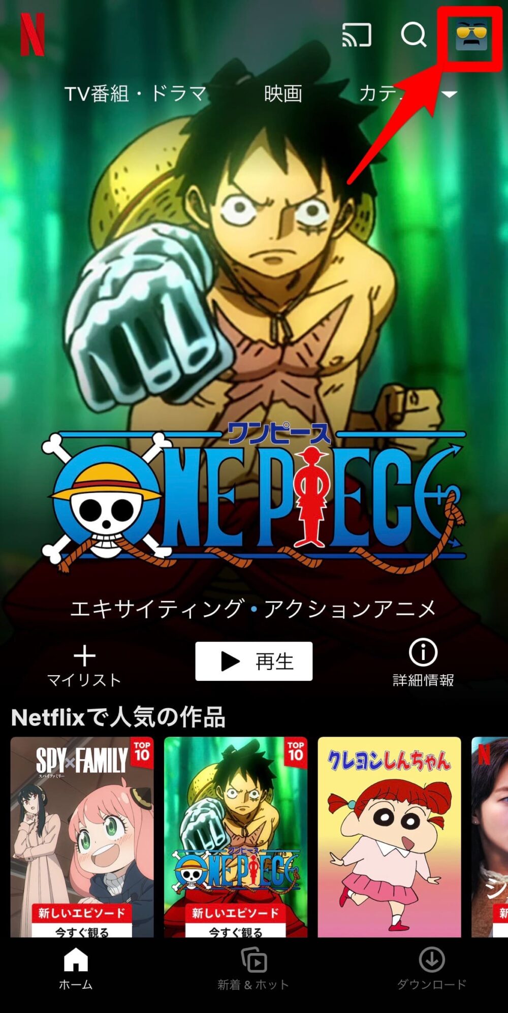 Netflix 外部のストレージ　ダウンロード保存