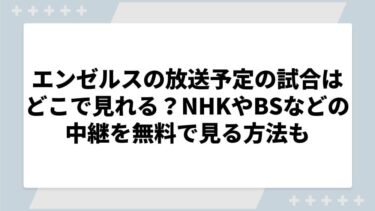 エンゼルスの放送予定の試合はどこで見れる？NHKやBSなどの中継を無料で見る方法も