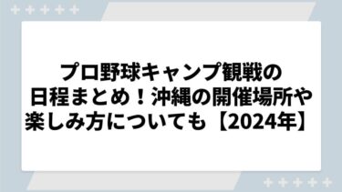 プロ野球キャンプ観戦の日程まとめ！沖縄の開催場所や楽しみ方についても【2024年】