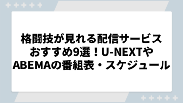 格闘技が見れる配信サービスおすすめ9選！U-NEXTやABEMAの番組表やスケジュールについても