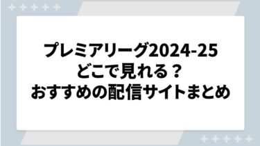 プレミアリーグ2024-25の放送はどこで見れる？無料・お得に見れる配信サイトまとめ！