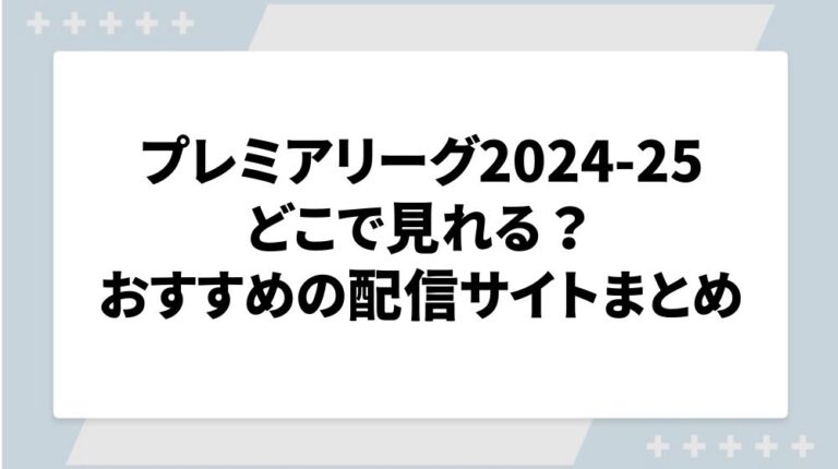 プレミアリーグ 配信