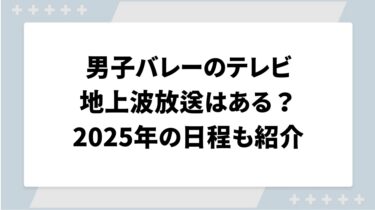 男子バレーのテレビ地上波放送はある？2025年の放送日程も紹介