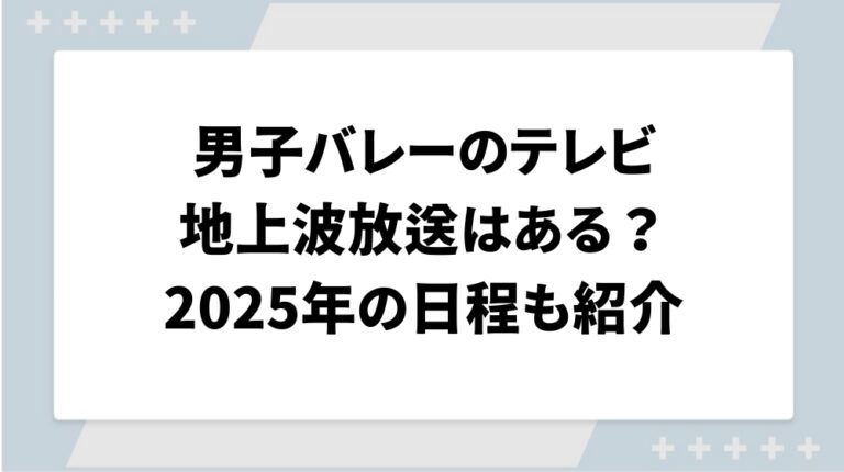 男子バレー地上波放送