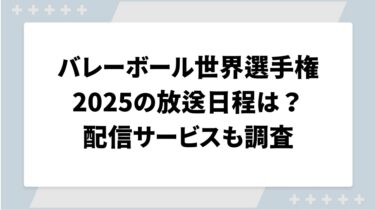 バレーボール世界選手権2025の放送日程は？配信サービスも調査