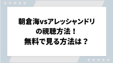 朝倉海vsアレッシャンドリの視聴方法！無料で見る方法は？