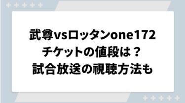 武尊vsロッタンone172チケットの値段は？試合放送の視聴方法も